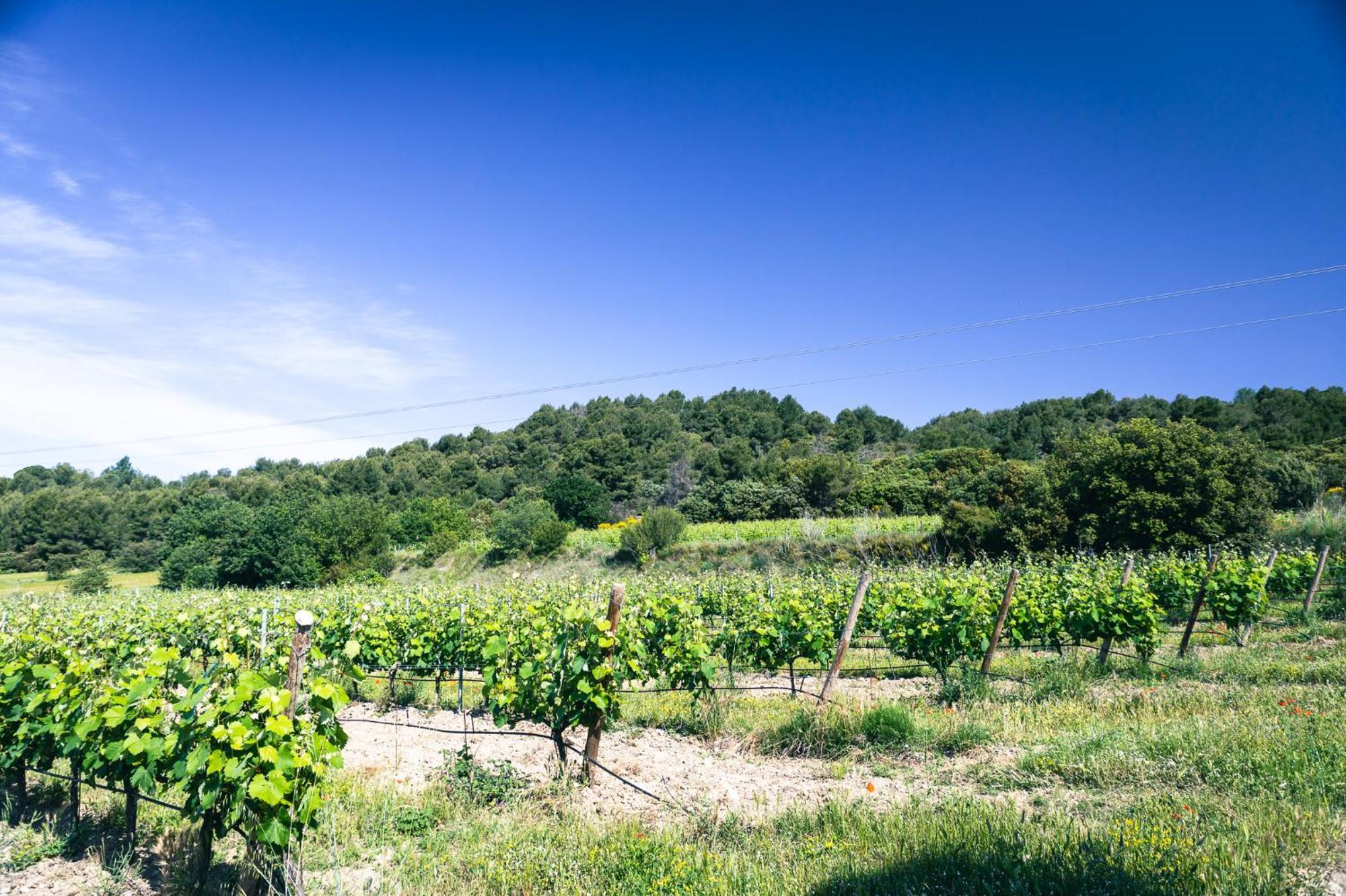 Domaine Des Peyre Robion en Luberon Exterior foto