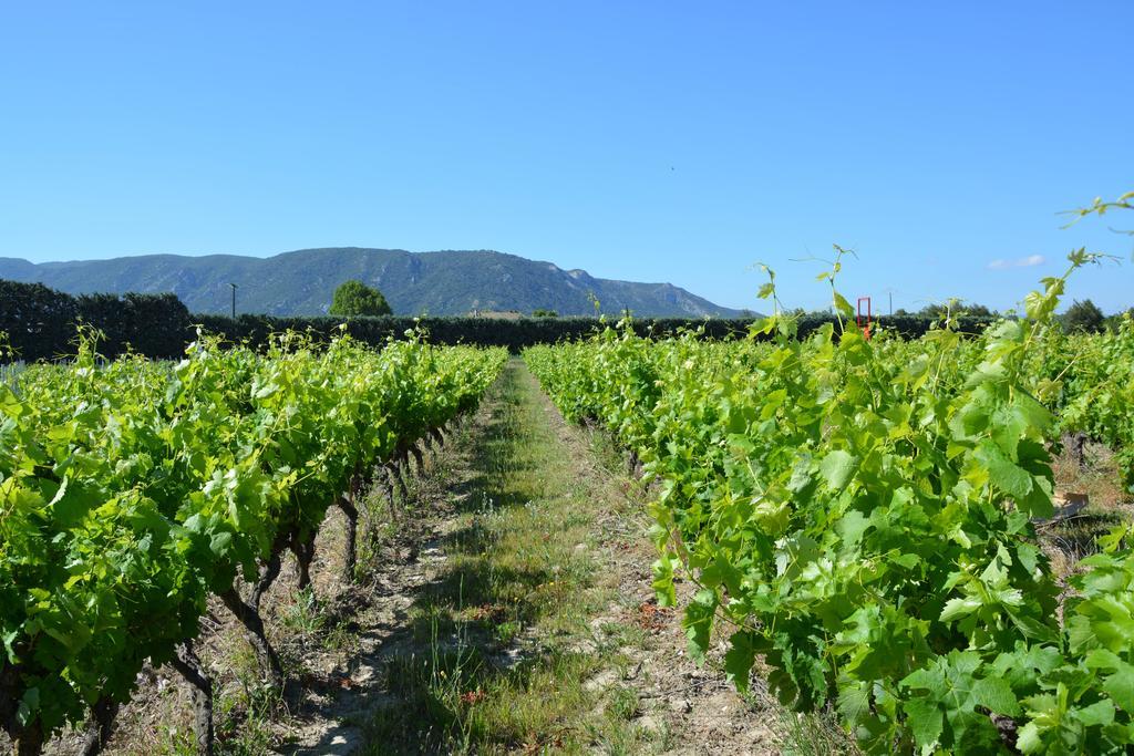 Domaine Des Peyre Robion en Luberon Exterior foto